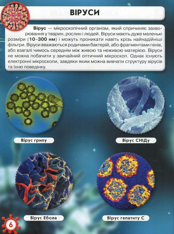 The world around you. microcosm / Світ навколо тебе. Мікросвіт М. Афонин 978-966-936-895-9-6