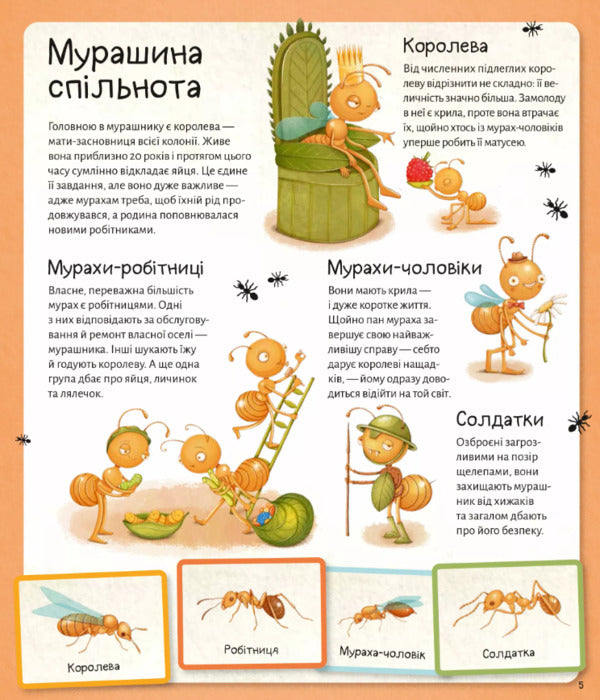 The world of ants / Світ мурах Степанка Секанинова 978-617-17-0318-6-6