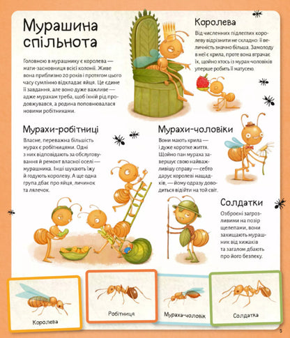 The world of ants / Світ мурах Степанка Секанинова 978-617-17-0318-6-6