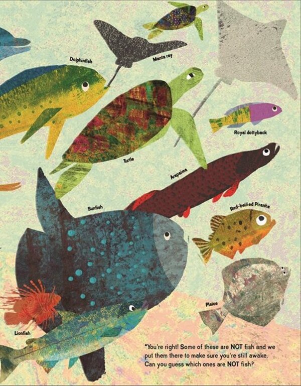 There Are Fish Everywhere Katie Haworth / Кэти Хаворт 9781787417755-4