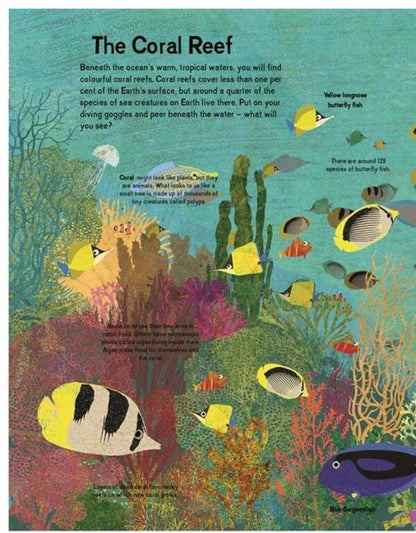 There Are Fish Everywhere Katie Haworth / Кэти Хаворт 9781787417755-5