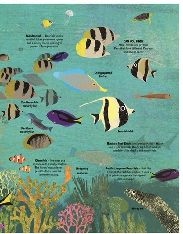 There Are Fish Everywhere Katie Haworth / Кэти Хаворт 9781787417755-6