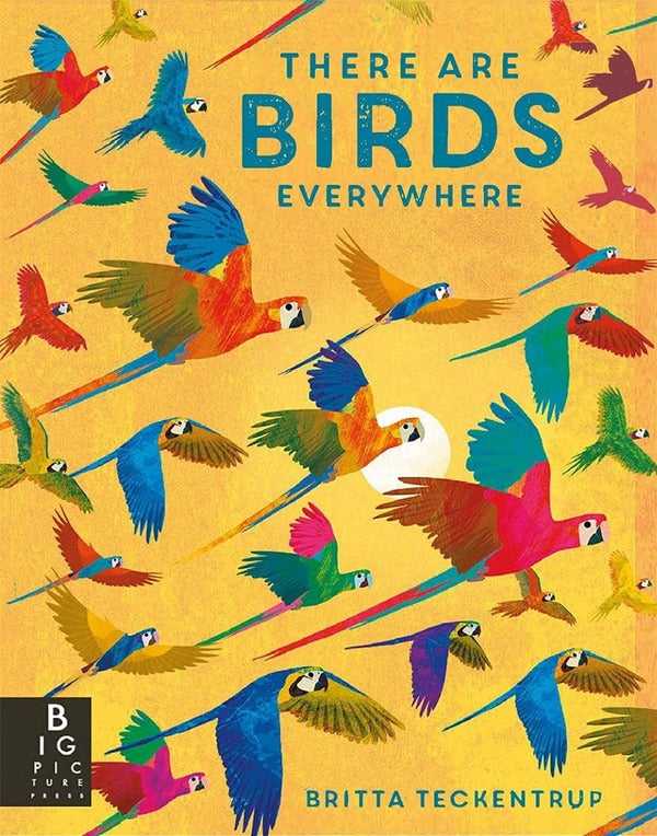There are Birds Everywhere / There are Birds Everywhere Бритта Текентрап 978-1-78741-717-5-1