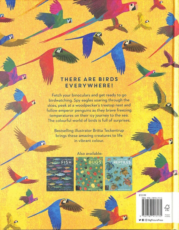 There are Birds Everywhere / There are Birds Everywhere Бритта Текентрап 978-1-78741-717-5-2