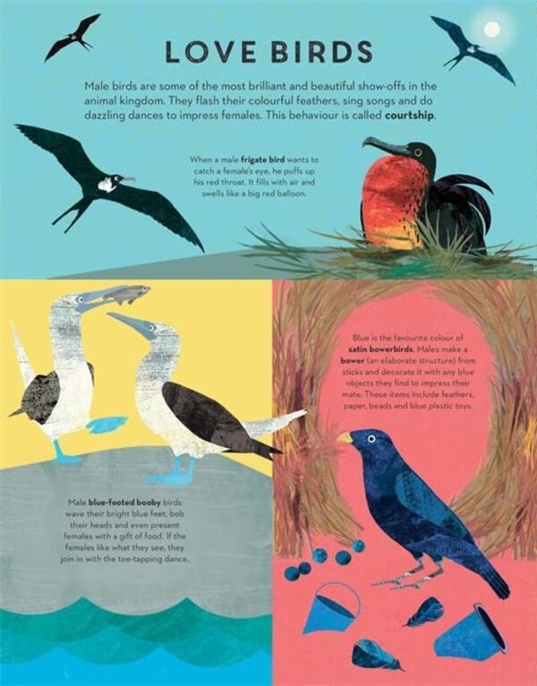 There are Birds Everywhere / There are Birds Everywhere Бритта Текентрап 978-1-78741-717-5-3