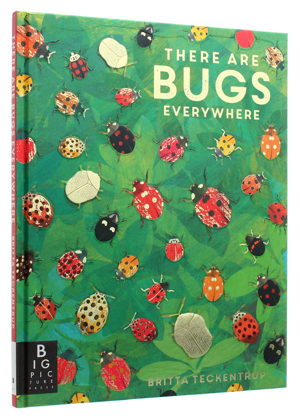 There are Bugs Everywhere / There are Bugs Everywhere Лили Мюррей 9781787415003-3