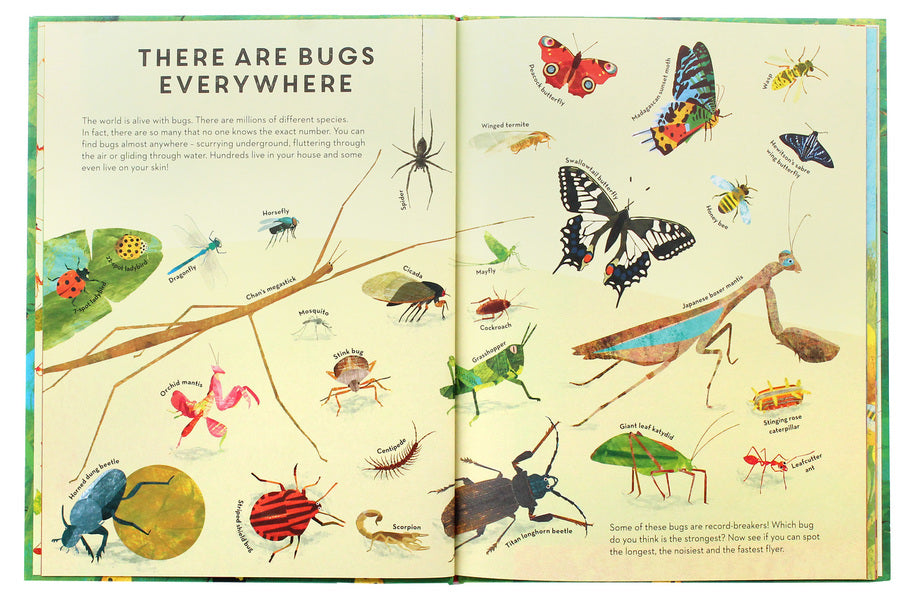 There are Bugs Everywhere / There are Bugs Everywhere Лили Мюррей 9781787415003-4