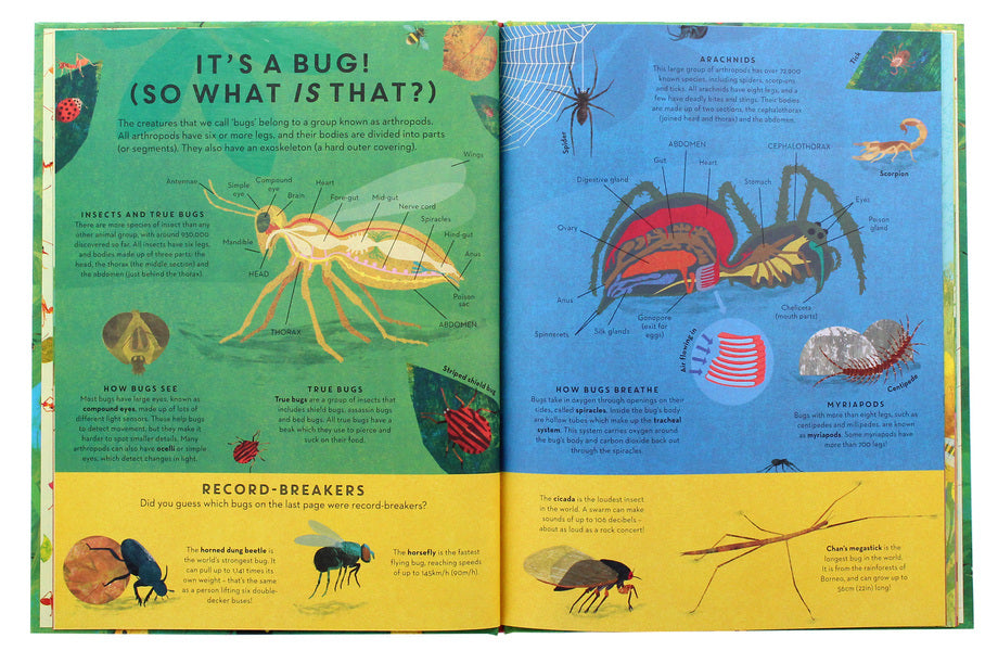There are Bugs Everywhere / There are Bugs Everywhere Лили Мюррей 9781787415003-5