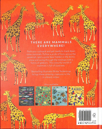 There are Mammals Everywhere / There are Mammals Everywhere Камилла де ла Бедуайер 978-1-78741-994-0-2