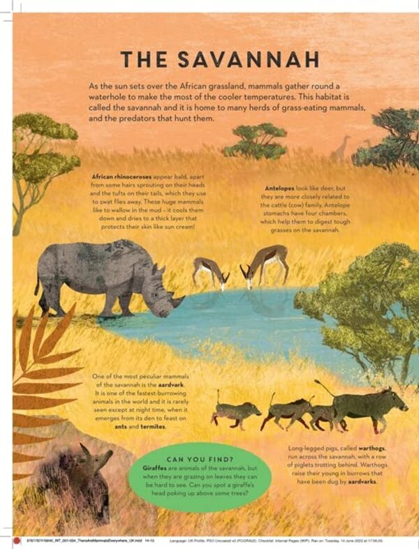 There are Mammals Everywhere / There are Mammals Everywhere Камилла де ла Бедуайер 978-1-78741-994-0-3