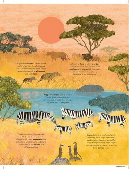 There are Mammals Everywhere / There are Mammals Everywhere Камилла де ла Бедуайер 978-1-78741-994-0-4