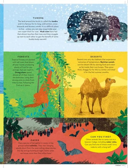 There are Mammals Everywhere / There are Mammals Everywhere Камилла де ла Бедуайер 978-1-78741-994-0-6