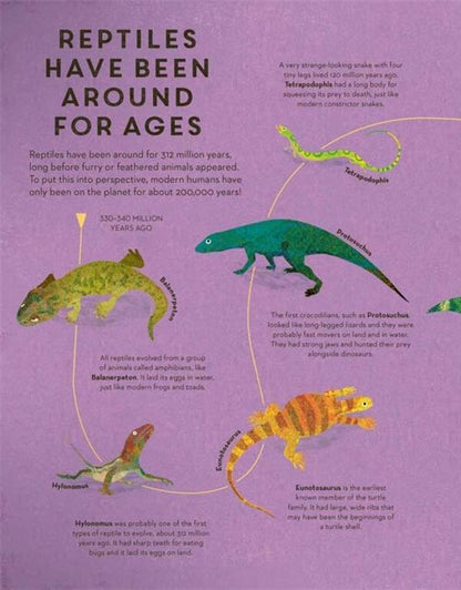 There are Reptiles Everywhere / There are Reptiles Everywhere Камилла де ла Бедуайер 9781787416536-3