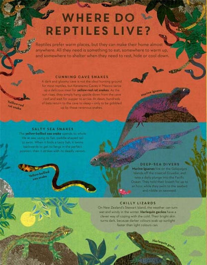 There are Reptiles Everywhere / There are Reptiles Everywhere Камилла де ла Бедуайер 9781787416536-5