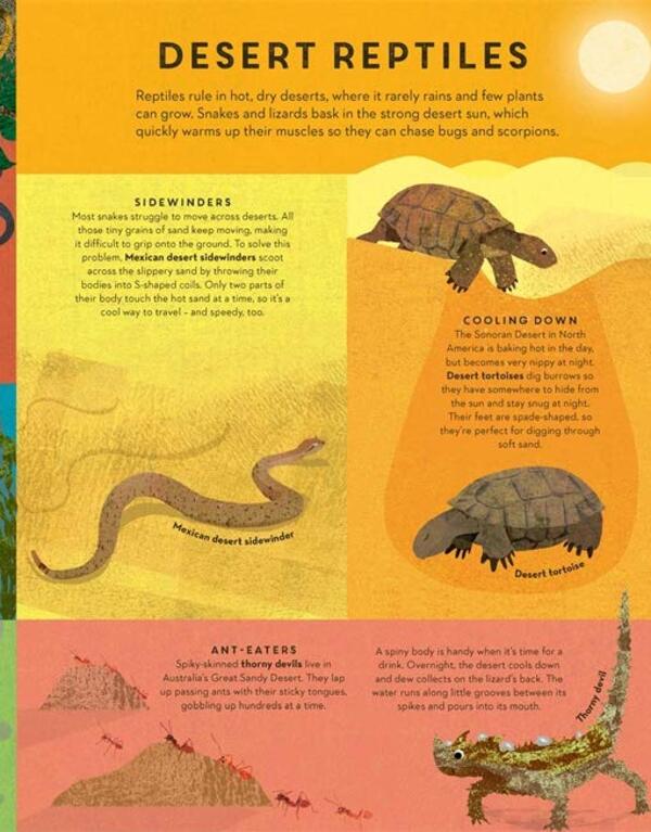 There are Reptiles Everywhere / There are Reptiles Everywhere Камилла де ла Бедуайер 9781787416536-6