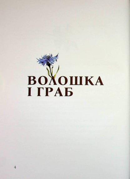 There is paradise, where your land is / Там рай, де твій край Елена Ходюк 9789660744837-3