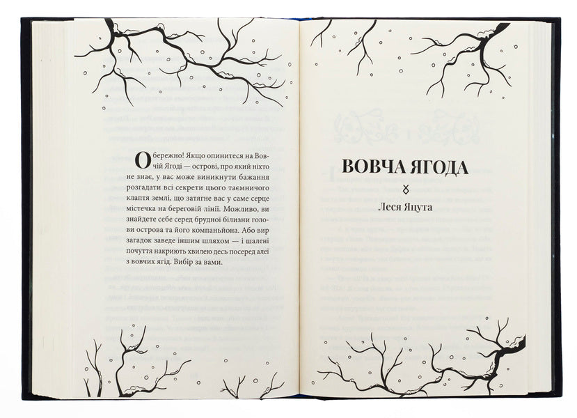 Time of shadows / Час тіней Елена Кузьмина, Ирина Грабовская, Анастасия Никулина, Леся Яцута 978-617-8458-10-2-6