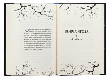 Time of shadows / Час тіней Елена Кузьмина, Ирина Грабовская, Анастасия Никулина, Леся Яцута 978-617-8458-10-2-6