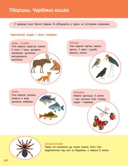 To Children About The World Around Us - Дтям про свт навколо нас Yana Kysylyova - Яна Кисльова 9786178772895-4
