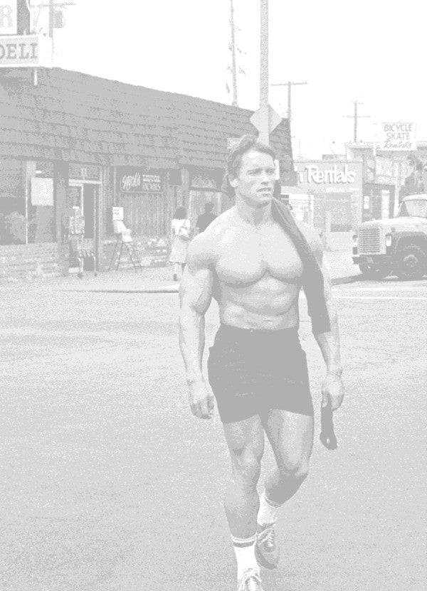 Total Recall Arnold Schwarzenegger / Арнольд Шварценеггер 9781849839730-3