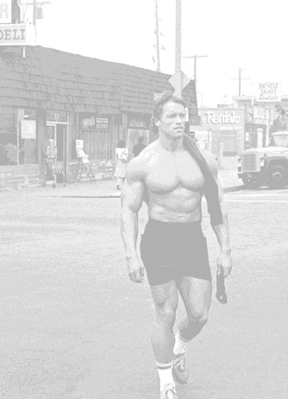 Total Recall Arnold Schwarzenegger / Арнольд Шварценеггер 9781849839730-3