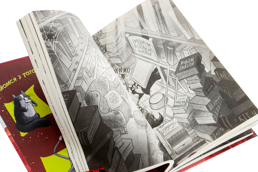 Toto. Book 4. Ninja Cat and the Secret of the Jewel Thief / Тото. Книга 4. Кішка-ніндзя і таємниця крадія коштовностей Дермот О'Лири 978-617-09-7434-1-4