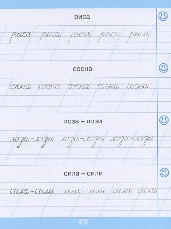 Trainer For Writing Down Words, Phrases And Sentences / Тренажер для списування слів, словосполучень і речень Anastasia Fisyna / Анастасія Фісіна 9789669396938-4