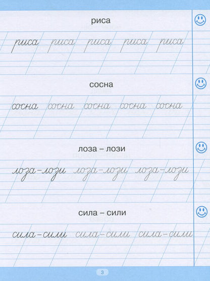 Trainer For Writing Down Words, Phrases And Sentences / Тренажер для списування слів, словосполучень і речень Anastasia Fisyna / Анастасія Фісіна 9789669396938-4