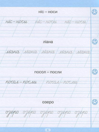 Trainer For Writing Down Words, Phrases And Sentences / Тренажер для списування слів, словосполучень і речень Anastasia Fisyna / Анастасія Фісіна 9789669396938-6