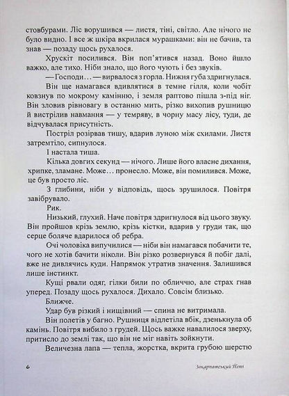 Transcarpathian Yeti - Закарпатський йет Vsevolod Rodov - Всеволод Родов 9786178585150-5
