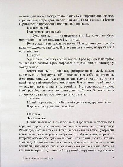 Transcarpathian Yeti - Закарпатський йет Vsevolod Rodov - Всеволод Родов 9786178585150-6