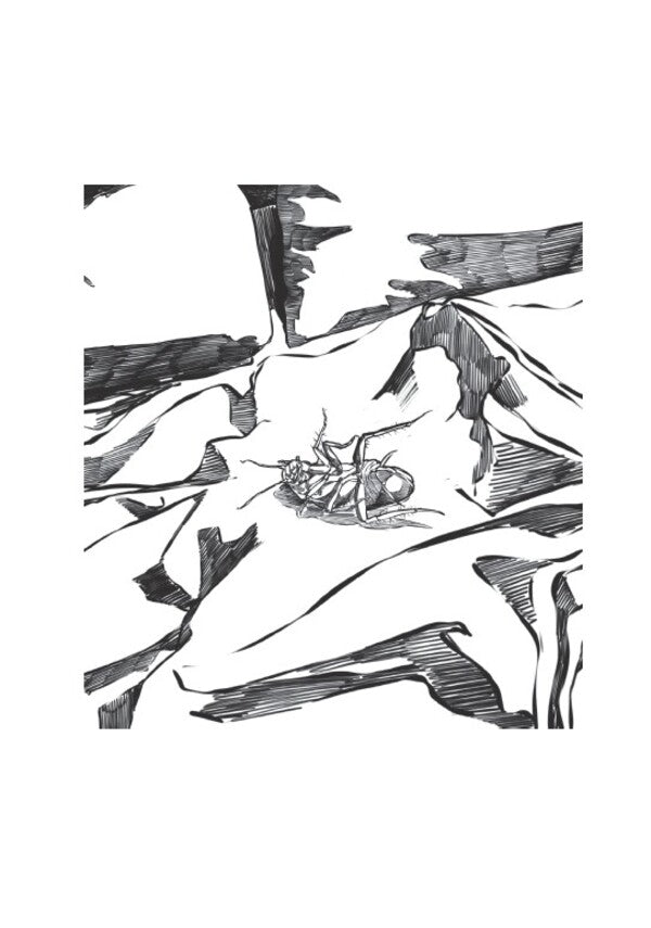 Transformation.Illustrated Edition / Превращение. Иллюстрированое издание Франц Кафка 978-088-0006-94-1-4