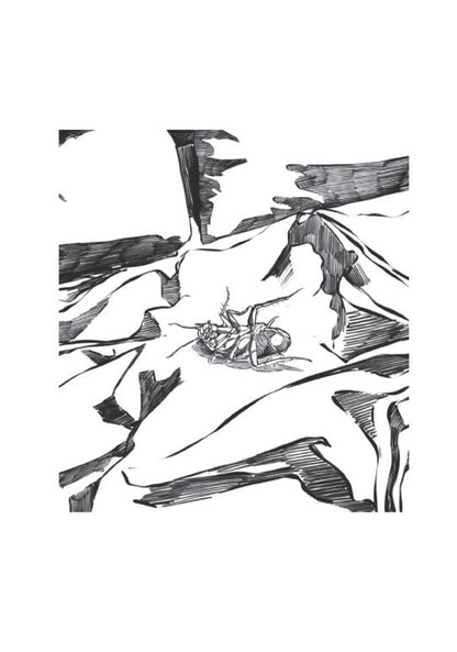 Transformation.Illustrated Edition / Превращение. Иллюстрированое издание Франц Кафка 978-088-0006-94-1-4