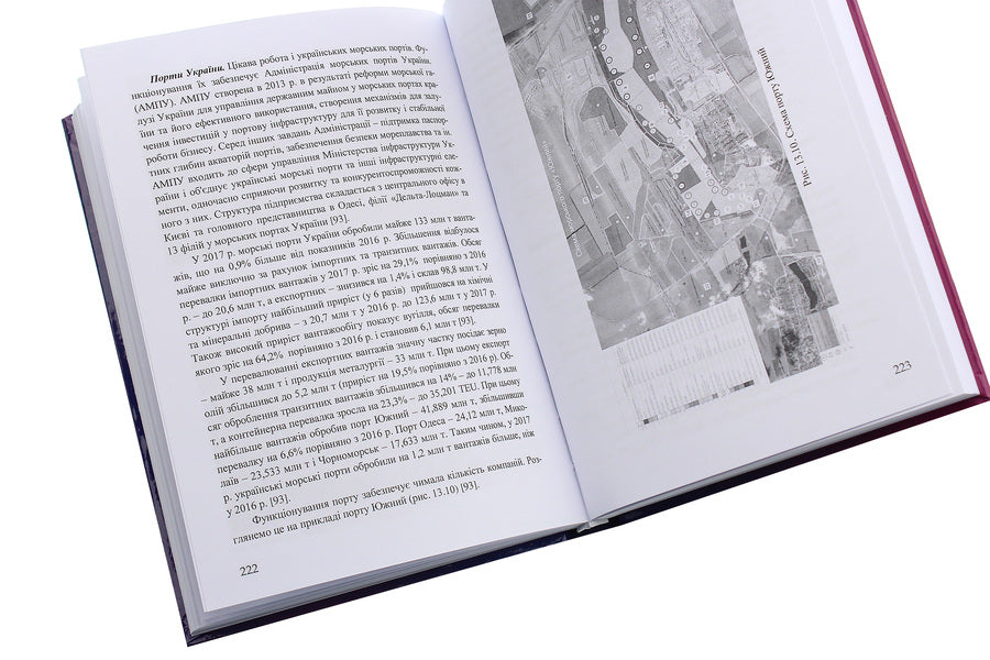 Transport Geography / Транспортна географія Sergey Lytvynenko, Petr Yanovsky, Halyna Nesterenko, Tatiana Gabrielova / Сергій Литвиненко, Петро Яновський, Галина Нестеренко, Тетяна Габрієлова 9786177939015-5