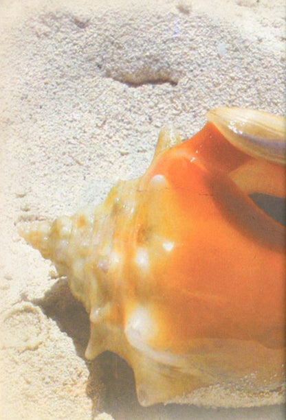 Treasures of God's word / Скарби Божого слова Нина Смит 9789663957647-3