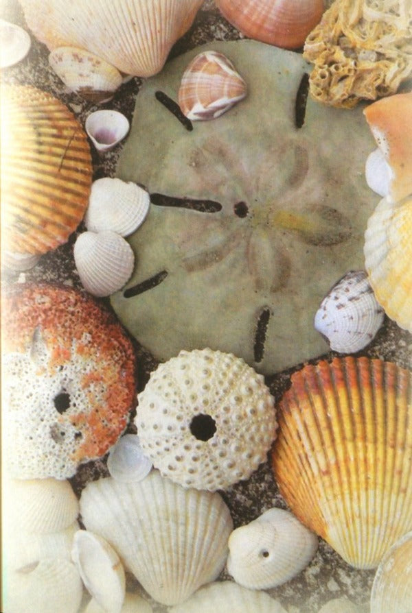 Treasures of God's word / Скарби Божого слова Нина Смит 9789663957647-6