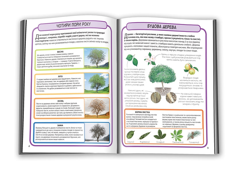 Trees. 50 Most Famous Species: Mini-Encyclopedia / Дерева. 50 найвідоміших видів: міні-енциклопедія / Author not specified 9789669482884-3