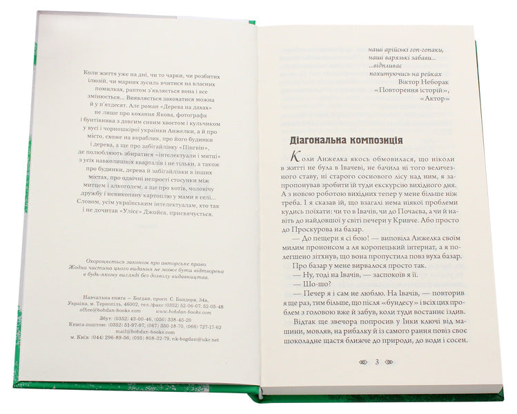 Trees on the roofs / Дерева на дахах Александр Вильчинский 978-966-10-6071-4-4