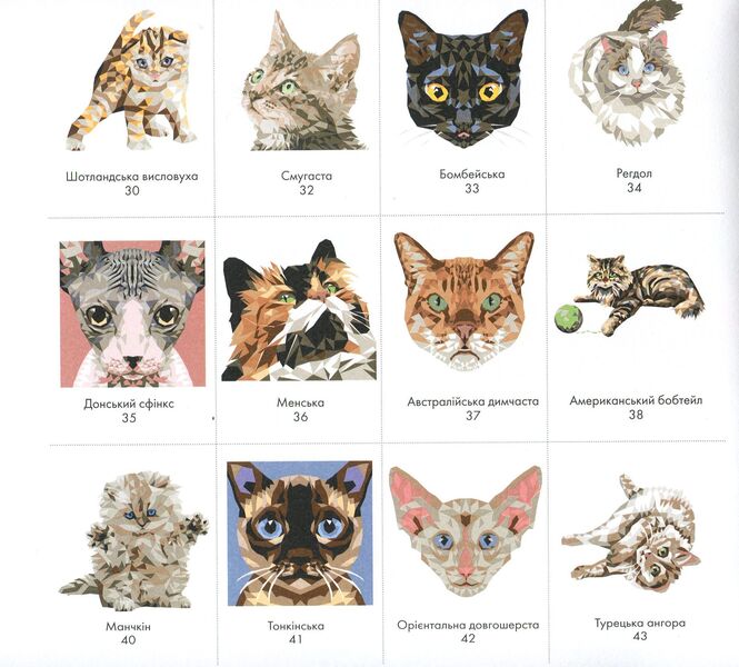 Trianimals. paint us cats / Трианімалз. Розмалюй нас. Коти Четин Кен Карадуман 978-617-7579-29-7-5