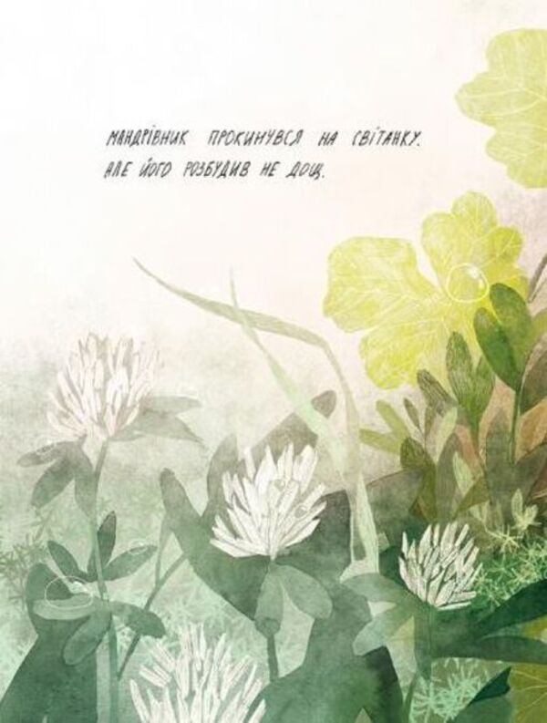 Tukoni is an inhabitant of the forest / Туконі - мешканець лісу Оксана Була 978-617-679-492-9-6