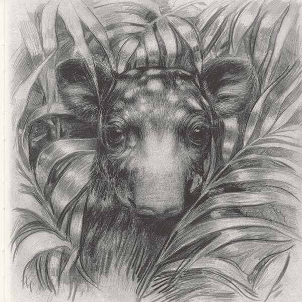 Twenty-two tapirs. Book one / Двадцять два тапіри. Книга перша Кос Марвин 9786177906673-3