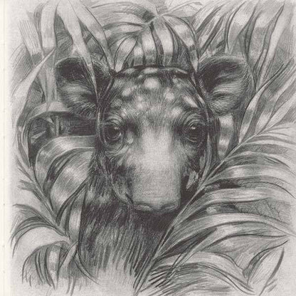 Twenty-two tapirs. Book one / Двадцять два тапіри. Книга перша Кос Марвин 9786177906673-3