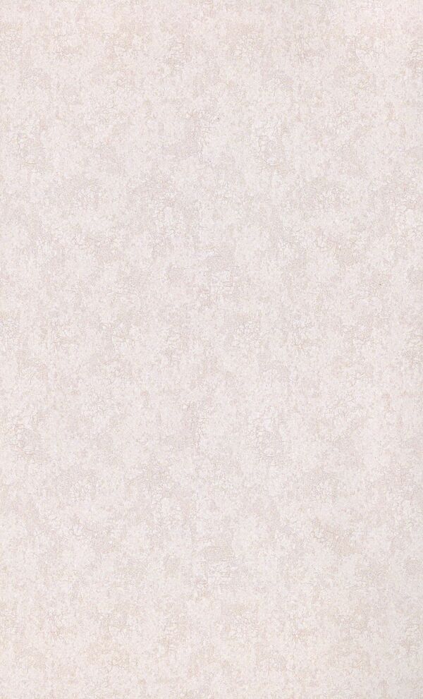 Two concepts of the history of Ukraine and Russia / Дві концепції історії України і Росії Наталья Полонская-Василенко 978-611-01-1590-2-2