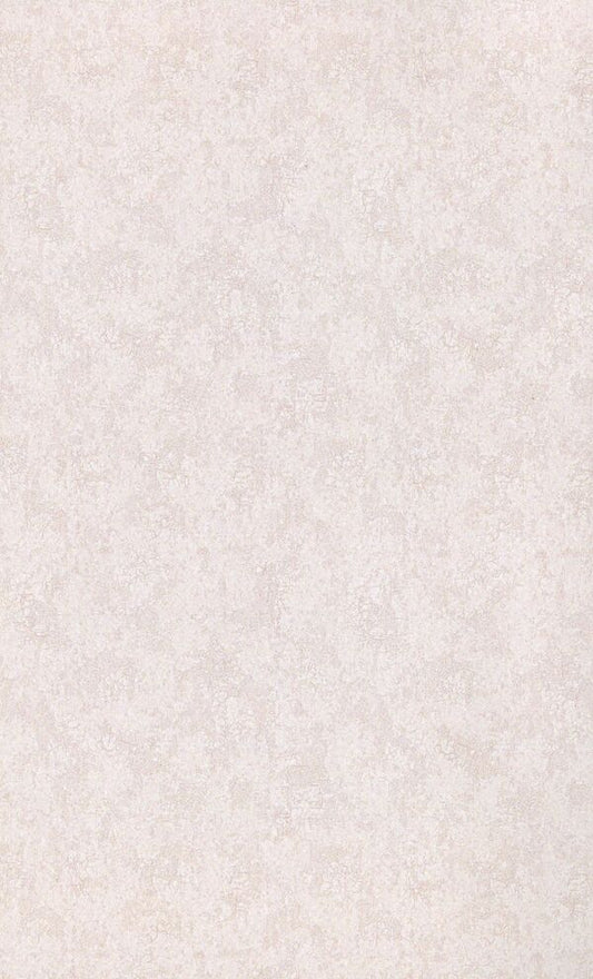 Two concepts of the history of Ukraine and Russia / Дві концепції історії України і Росії Наталья Полонская-Василенко 978-611-01-1590-2-2