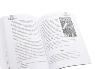 Two with a shovel. Robbers of forest dumpsters / Двоє з лопатою. Розкрадачі лісових смітників Влад Якушев, Андрей Лотоцкий 978-617-7606-47-4-5