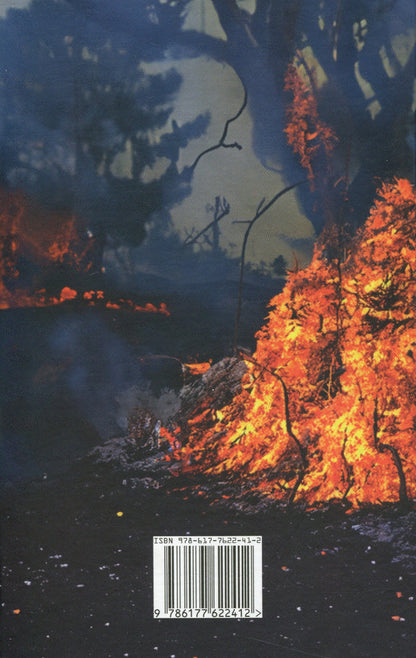 'Ukraine is on fire'. War 2022 through the prism of Dovzhenko: 100 days of resistance / 'Україна в огні'. Війна 2022 крізь призму Довженка: 100 днів протиСТОяння Людмила Тарнашинская 978-617-7622-41-2-2
