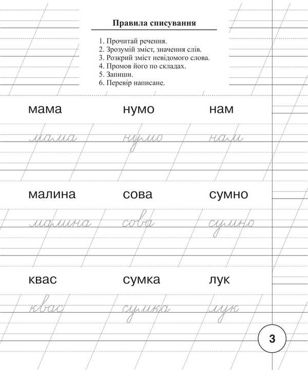 Ukrainian. 1St Grade. Writing Notebook / Українська мова. 1 клас. Зошит для списування Tatyana everyday / Тетяна Будная 9789661091619-2
