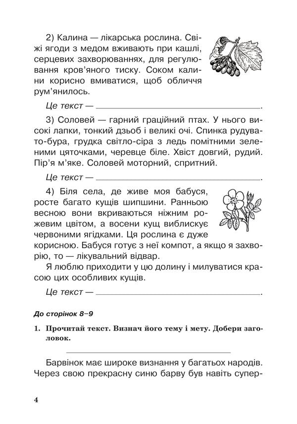 Ukrainian Language. A Workbook. 3Rd Grade / Українська мова. Робочий зошит. 3 клас Natalya Budnaya, Natalya Shost / Наталія Будная, Наталія Шост 9789661066211-3