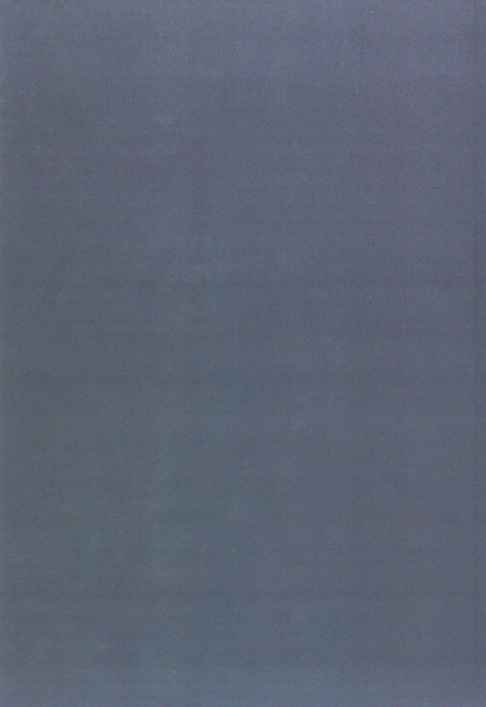 Ukrainian and Polish postmodern prose (carnival, fragmentation, frontier) / Українська і польська постмодерна проза (карнавал, фрагментація, фронтир) Ирина Кропивко 978-617-7621-31-6-2