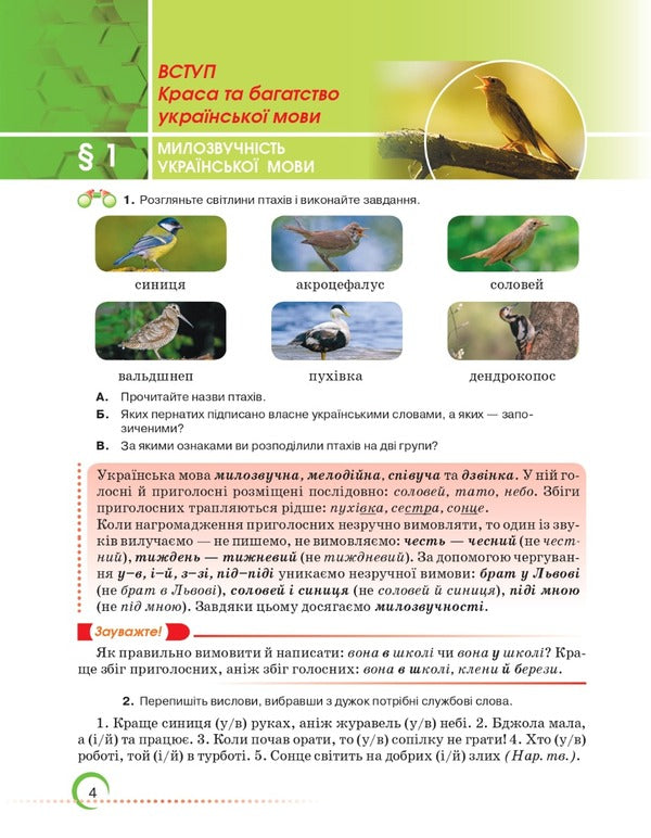 Ukrainian language. 6th grade / Українська мова. 6 клас Зара Тищенко, Александр Авраменко 978-966-349-942-0-3